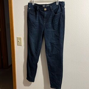 Luxury denim DG2 signature ankle size 12